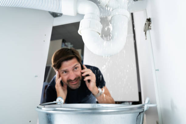 Best Emergency Plumbing Repair  in Winthrop, MN