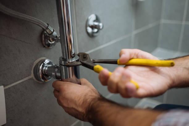 Best Plumbing Repair Near Me  in Winthrop, MN